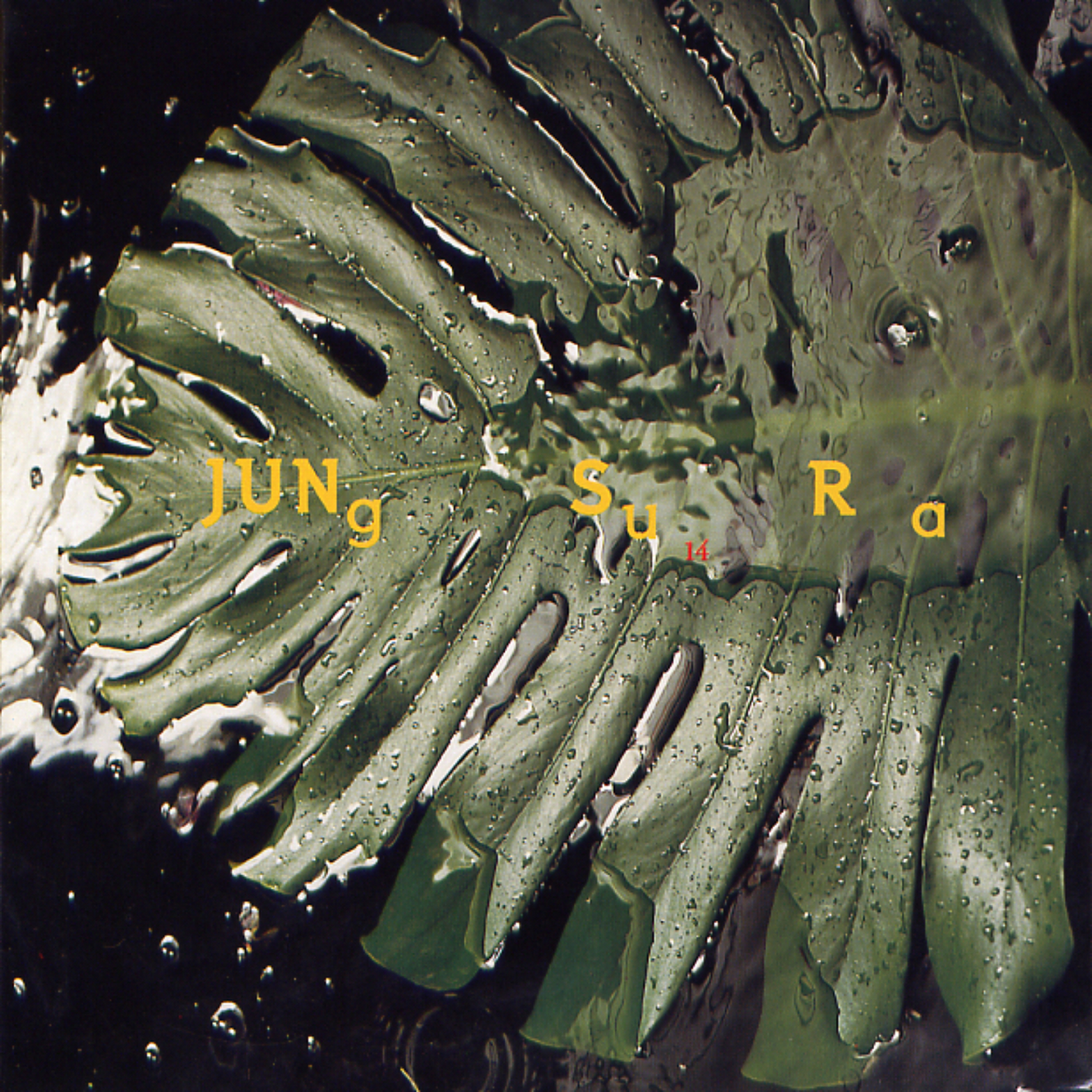 Image Cover